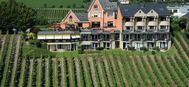 Hotel Des Vignes Restaurant Du Pressoir Remich Exterior photo